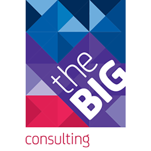 The Big Consulting